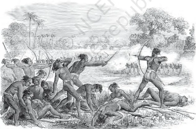 Colonialism and the Countryside: NCERT Class 12 History Chapter 1 Santhal rebels with bows and arrows fighting sepoys of the British Raj, from the Illustrated London News of February 1856
