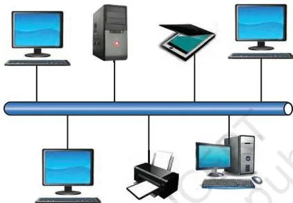 Computers and a printer connected inside one building or campus, showing a local area network's limited geographic reach