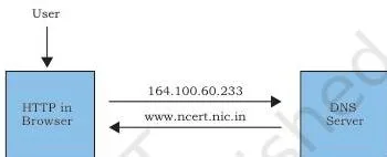 A diagram showing HTTP requesting the IP address for a domain name from a DNS server and receiving the reply