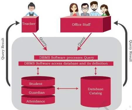 Database Concepts Class 12: NCERT Computer Science Chapter 8 Diagram of the STUDENTATTENDANCE database environment with the DBMS at the centre connecting stored data to multiple users such as office staff and teachers
