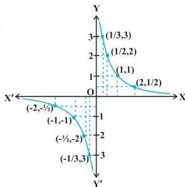 Continuity and Differentiability Class 12: NCERT Chapter 5 PDF Two arms of the graph y = 1/x rising steeply toward the y-axis from both sides without touching it, showing values growing without bound near 0