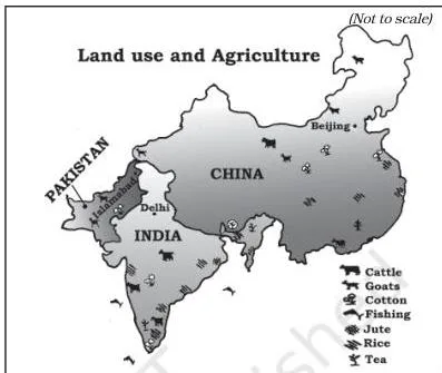 Development Experiences of India: a Comparison Class 11 PDF Land use and agriculture in India, China and Pakistan