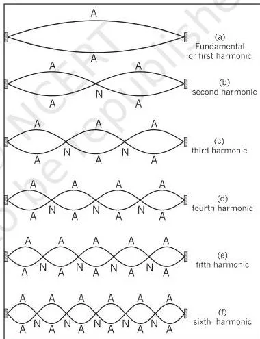 Standing wave patterns inside an air column closed at one end and open at the other, showing only the odd harmonics
