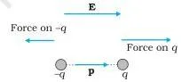 Dipole in a uniform electric field.