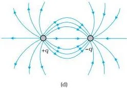 Field lines between two like charges curving away from each other in repulsion and between a positive and a negative charge curving toward each other in attraction