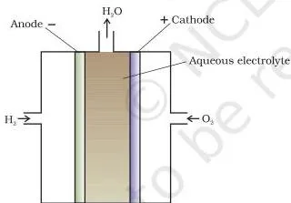 Electrochemistry Class 12 Notes: Cells, Nernst, Faraday Cutaway of a hydrogen-oxygen fuel cell with porous carbon electrodes in sodium hydroxide solution, producing electricity and water