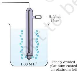 Electrochemistry Class 12 Chapter 2 PDF (NCERT Chemistry-I) Standard hydrogen electrode with a platinum electrode coated in platinum black dipped in acid solution while hydrogen gas bubbles past it, serving as the zero-potential reference