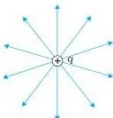Spherical equipotential surfaces centred on a single charge with radial field lines leaving it