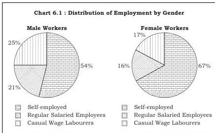 Employment : Growth, Informalisation and Other Issues — NCERT Class 11 Economics Chapter 6 Chart 6.1 : Distribution of Employment by Gender