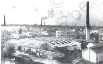 Environment and Sustainable Development Class 11 PDF Damodar Valley is one of India's most industrialised regions. Pollutants from the heavy industries along the banks of the Damodar river are converting it into an ecological disaster