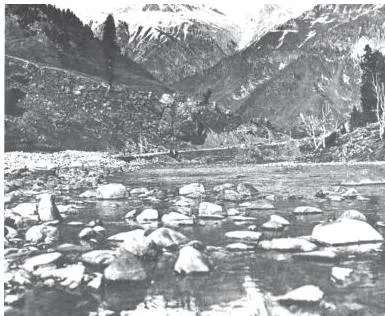 Environment and Sustainable Development Class 11 PDF Water bodies: small, snow-fed Himalayan streams are the few fresh-water sources that remain unpolluted.