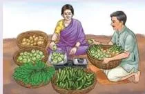 Class 9 Science Chapter 1 Notes: Exploration — Entering the World of Secondary Science A vegetable seller using a pan balance, the Class 9 Science Chapter 1 notes example of why a kilogram must mean the same amount everywhere.