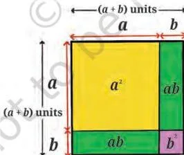 Exploring Algebraic Identities Class 9 Notes A square of side a plus b split into a square a squared, a square b squared and two rectangles each of area ab, showing why the identity has a middle term 2ab