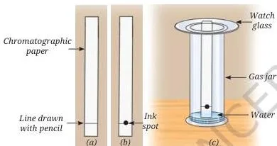 Exploring Mixtures and their Separation Class 9 Notes A paper chromatography strip with a black ink spot standing in water, the spot separating into different colours as water rises