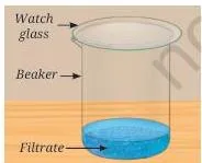 Exploring Mixtures and their Separation Class 9 Notes Filtering the hot saturated copper sulfate solution through filter paper to remove insoluble impurities