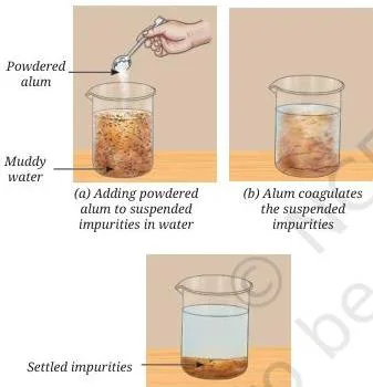 Exploring Mixtures and their Separation Class 9 Notes A hand-powered paperfuge device used to spin blood samples very fast and separate heavier components without electricity