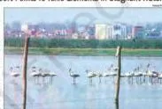 Forest and Wildlife Resources Class 10: NCERT Chapter 2 PDF Newspaper clipping headlined ‘Bird deaths blamed on dirty Yamuna’, reporting a Delhi government study on toxic elements in stagnant water