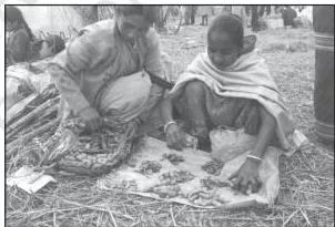 Two women exchanging products directly with each other at Jon Beel Mela in Jagiroad, Assam, an annual fair where the barter system of trade is still practised in India today
