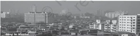 Air pollution and its effects on the human body, showing how it causes diseases of the respiratory, nervous and circulatory systems