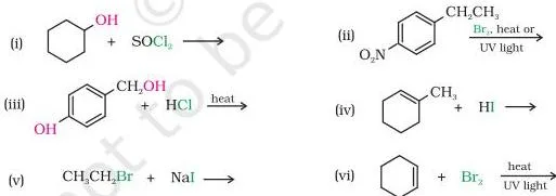 Haloalkanes and Haloarenes Class 12 PDF (Chemistry Part II) 6.5 Draw the structures of major monohalo products in each of the following reactions: