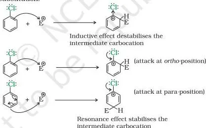 Haloalkanes and Haloarenes Class 12 Notes Balance of chlorine's inductive electron withdrawal and resonance electron release controlling reactivity and orientation in electrophilic substitution