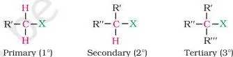 Haloalkanes and Haloarenes Class 12 PDF (Chemistry Part II) General structure of an alkyl halide with the halogen atom bonded to an alkyl group R, written R-X