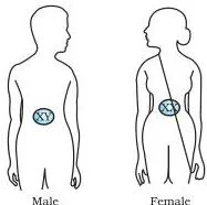 Heredity Class 10: NCERT Science Chapter 8 PDF Explained Sex determination diagram for the heredity class 10 chapter, showing the mother's X chromosome pairing with the father's X to produce a girl and with the father's Y to produce a boy