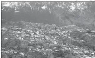 NCERT Class 12 Geography Chapter 2: Human Settlements (India: People and Economy) Closely packed houses gathered into a single compact built-up area with lanes between them, surrounded by farmland in the north-eastern states — the human class 12 Geography textbook example of a clustered settlement