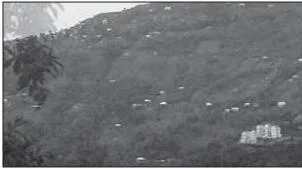 NCERT Class 12 Geography Chapter 2: Human Settlements (India: People and Economy) Isolated huts scattered over hill slopes with farm plots or pasture in between, the dispersed settlement pattern found in Nagaland