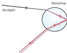 Human Eye and Colourful World Class 10 Notes Diagram showing refraction, internal reflection and refraction of sunlight inside a raindrop forming a rainbow