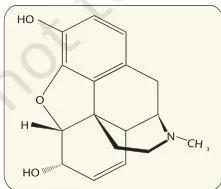 Human Health and Disease Class 12: NCERT Chapter 7 PDF Chemical structure of Morphine