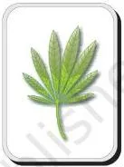 Human Health and Disease Class 12: NCERT Chapter 7 PDF Leaves of Cannabis sativa, the plant whose inflorescences yield the cannabinoid drugs marijuana, hashish, charas and ganja