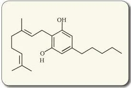 Human Health and Disease Class 12: NCERT Chapter 7 PDF Skeletal structure of cannabinoid molecule