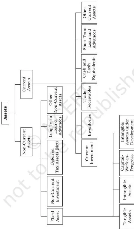 Introduction to Accounting Class 11: Chapter 1 PDF Tree diagram classifying assets into two groups, current and non-current