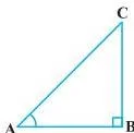 Equilateral triangle split into two right triangles by a perpendicular, showing 30 and 60 degree angles used to derive trigonometric ratios