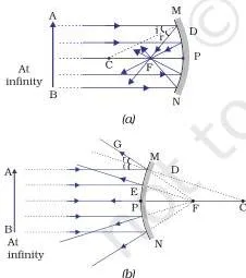 Light – Reflection and Refraction Class 10 (Chapter 9 PDF) Parallel rays striking a concave mirror and meeting at the principal focus F, beside a convex mirror where the same rays spread apart and seem to come from a focus behind the mirror