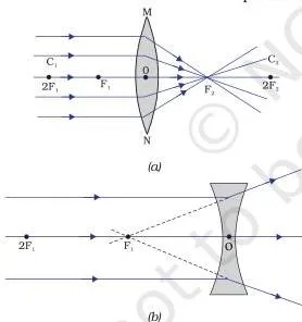 Light – Reflection and Refraction Class 10 (Chapter 9 PDF) Parallel rays passing through a convex lens converge at the principal focus on the far side, while parallel rays through a concave lens spread out and appear to come from a focus on the near side