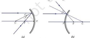 Light – Reflection and Refraction Class 10 (Chapter 9 PDF) Ray diagrams of a concave and a convex mirror showing a ray parallel to the principal axis reflecting through the focus or appearing to come from the focus