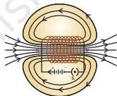 Field lines through and around a current-carrying solenoid, showing parallel straight lines inside the solenoid and curved lines outside, similar to a bar magnet.