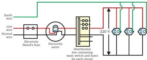 NCERT Solutions for Class 10 Science Chapter 12: Magnetic Effects of Electric Current Schematic diagram of a common domestic circuit showing the live, neutral and earth wires, the fuse and appliances connected in parallel
