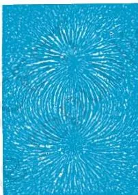 Magnetism and Matter Class 12 Formulas Iron filings surrounding a bar magnet trace curved lines from one pole to the other, showing that the bar magnet behaves as a magnetic dipole