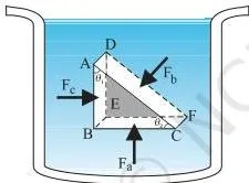 Mechanical Properties of Fluids Class 11 Notes: Pressure, Viscosity and Surface Tension A small right-angled prism element inside a fluid at rest, with pressure forces acting normal to its three faces, proving pressure is equal in all directions