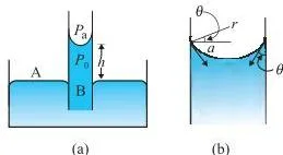 Mechanical Properties of Fluids Class 11 Notes: Pressure, Viscosity and Surface Tension A narrow capillary tube immersed in water with a concave meniscus, showing water rising to height h inside the tube