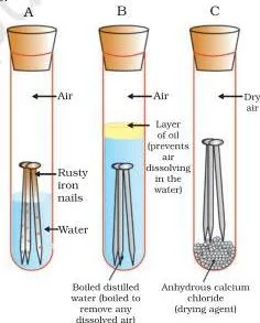 Metals and Non-metals Class 10 Formulas Three test tubes containing iron nails, with both air and water in tube A, boiled water with oil in tube B and dry air in tube C, demonstrating that rusting needs both air and water