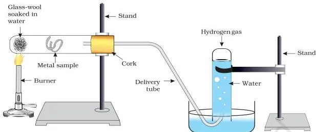 Metals and Non-metals Class 10 Formulas Apparatus that passes steam over a heated metal while hydrogen gas is collected, illustrating how metals like iron react with steam