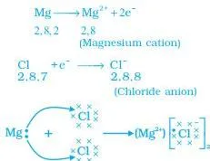Metals and Non-metals Class 10 — NCERT Chapter 3 PDF Diagram of a magnesium atom giving one outer electron to each of two chlorine atoms, forming a magnesium cation and two chloride anions