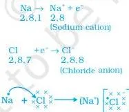 Metals and Non-metals Class 10 — NCERT Chapter 3 PDF Diagram of a sodium atom giving its one outer electron to a chlorine atom, forming a sodium cation and a chloride anion