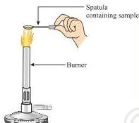 Metals and Non-metals Class 10 — NCERT Chapter 3 PDF White salt sample being heated on a metal spatula over a burner flame, showing that ionic compounds do not melt easily