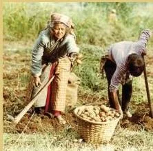 Villagers with agricultural implements outside a cooperative, whose pooled deposits back cooperative loans for implements, cultivation and housing