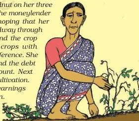 A woman farmer inspecting her groundnut crop in a field, the borrower whose failed harvest and heavy moneylender debt ended in a debt trap